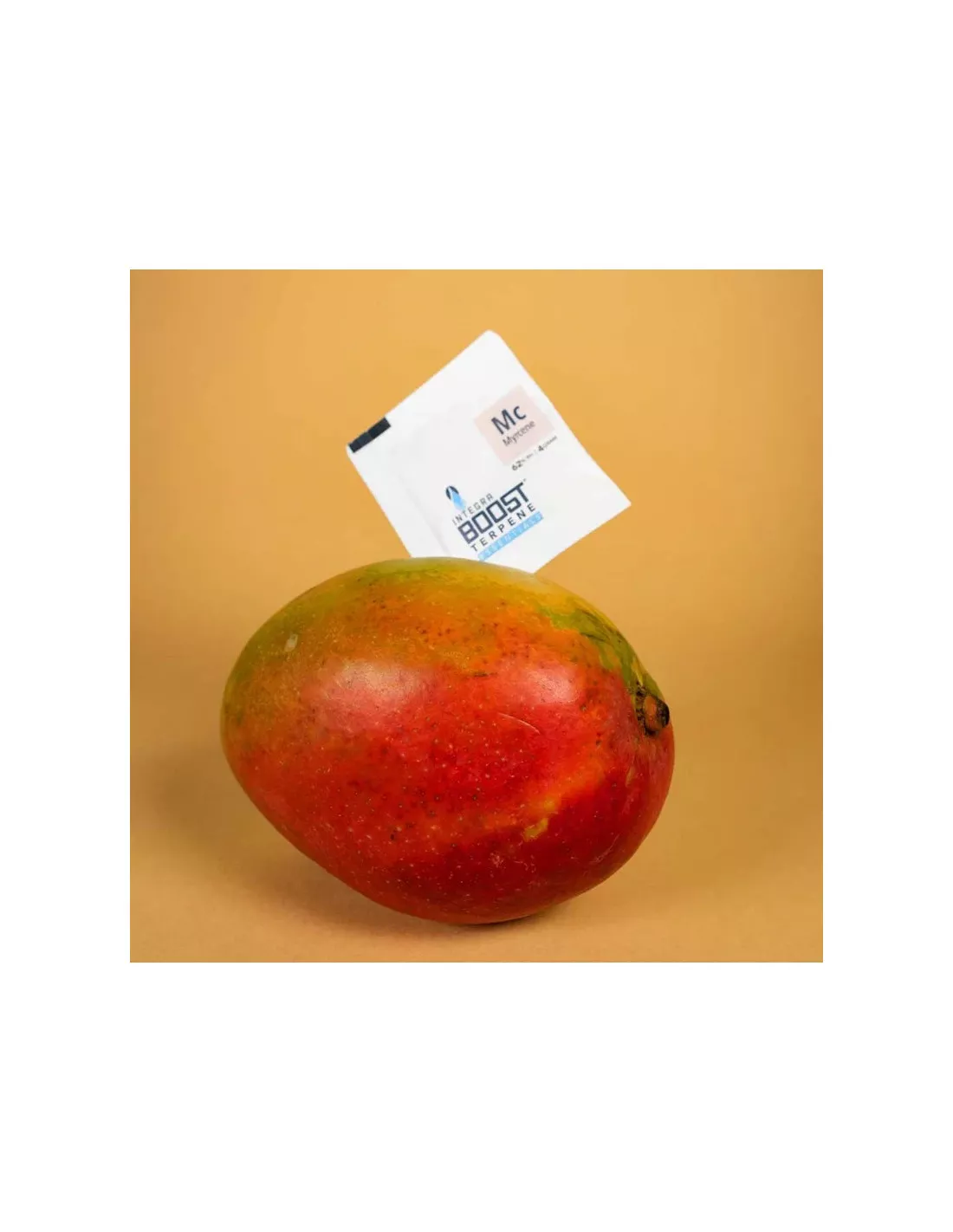 Regulator wilgotności suszu Integra Boost Terpene 4 g