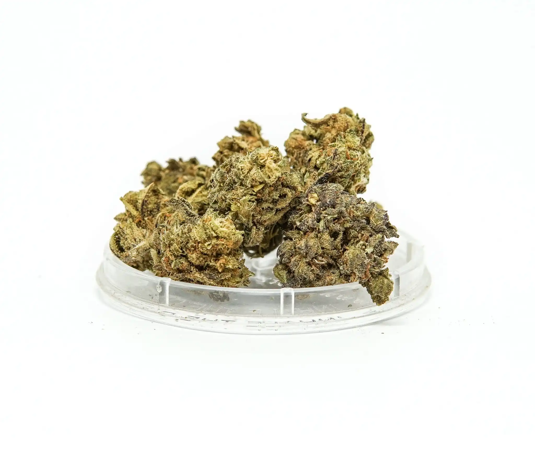 Sativa poland CBD-Kwiaty-Konopi-BUBBELS