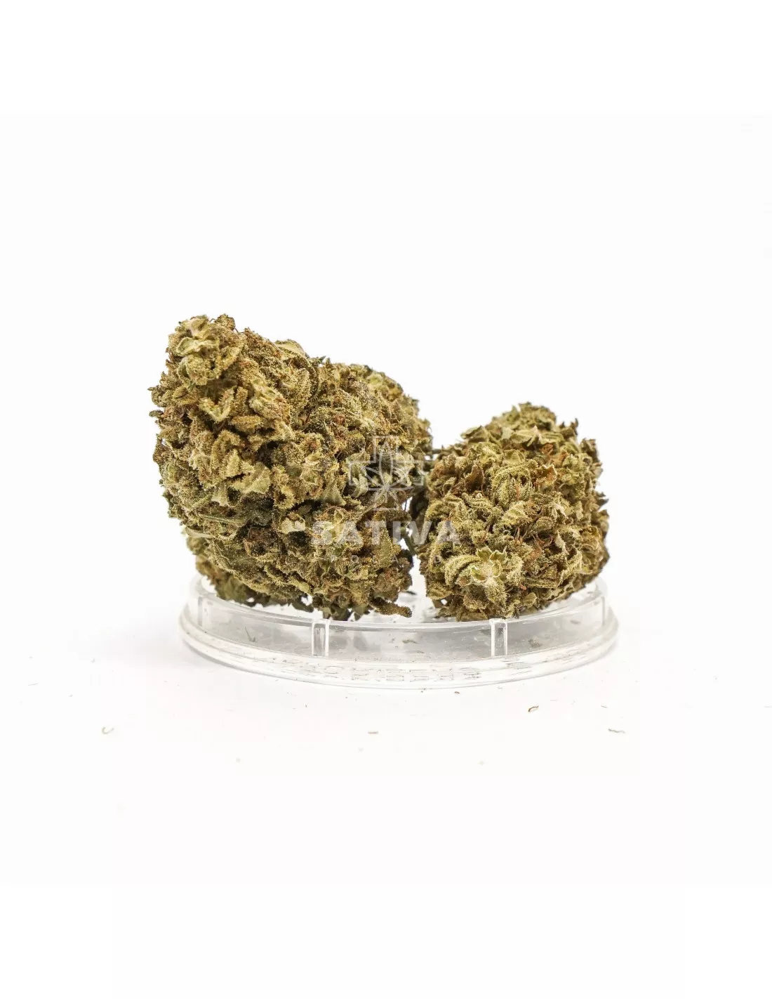 Susz konopny CBD Amazing Haze Sativa Poland 3g