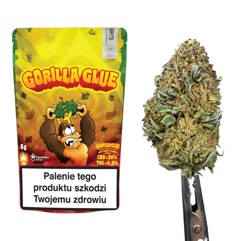 Susz Konopny Gorilla Glue CBD Cannabis Spot 5G z akcyzą